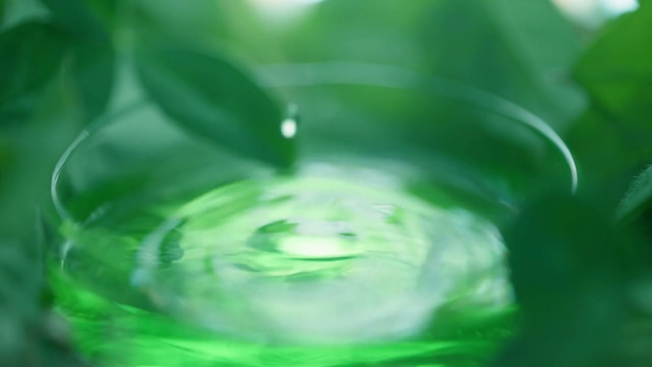Natural botanical skincare: fresh aloe vera essence